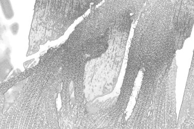 soyut grunge gri arkaplan