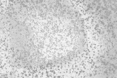 soyut grunge gri arkaplan