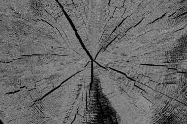 soyut grunge arkaplanı siyah ve beyaz renklerde