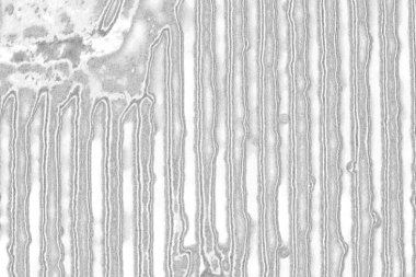 beton gri arkaplan tam çerçeve duvarı