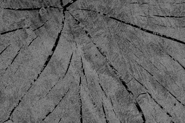 Çizik ve çatlaklarla dolu pis bir doku.