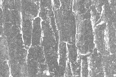 Monokrom dokusu. Görüntü, siyah ve beyaz tonları da içeriyor. Soyut arkaplan. 