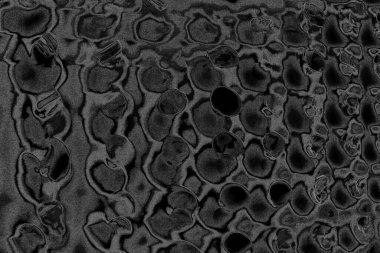 Çizik ve çatlaklarla dolu pis bir doku.