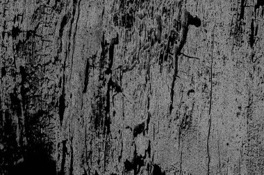 Monokrom dokusu. Görüntü, siyah ve beyaz tonları da içeriyor. Soyut arkaplan. 