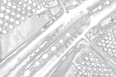 Çizik ve çatlaklarla bembeyaz bir doku.