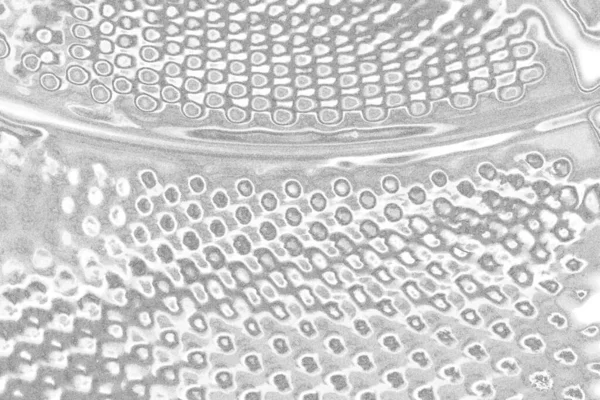 Çizik ve çatlaklarla bembeyaz bir doku.