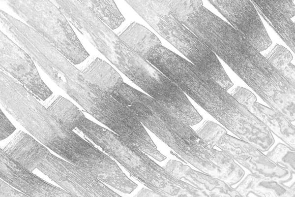 Concrete Grey Background Full Frame Wall — Stock Photo, Image