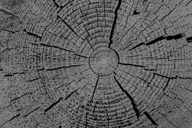 Soyut gri arkaplan tam çerçeve duvarı