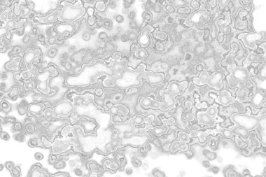 Kopyalama alanı için kirli beton doku arkaplanı 