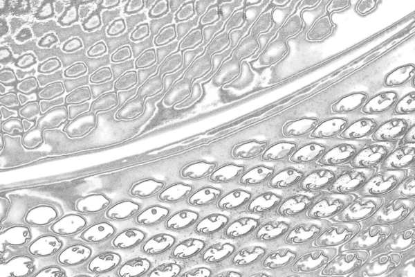 Çizik ve çatlaklarla bembeyaz bir doku.