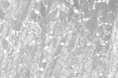  gri beton döşeme arka plan duvarı, tam çerçeve