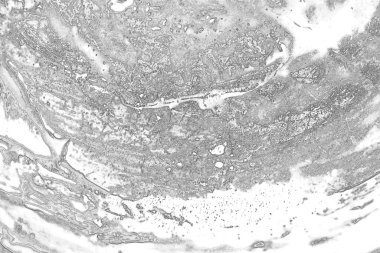 Kopyalama alanı için kirli beton doku arkaplanı 