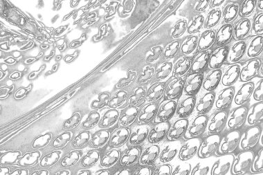 Çizik ve çatlaklarla bembeyaz bir doku.