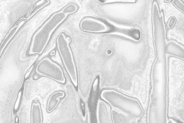 Kopyalama alanı için kirli beton doku arkaplanı 