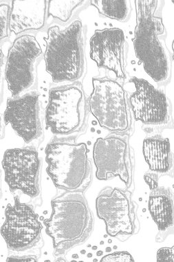 Çizik ve çatlaklarla metal doku