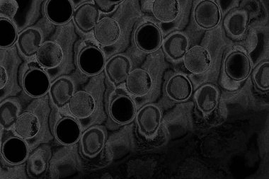 Çizik ve çatlaklarla dolu pis bir doku.