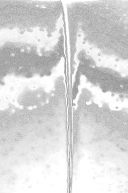 Çizik ve çatlaklarla bembeyaz bir doku.