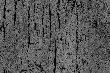 Monokrom dokusu. Görüntü, siyah ve beyaz tonları da içeriyor. Soyut arkaplan. 