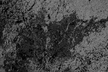 Domuzun kanı çimlerin üzerinde.