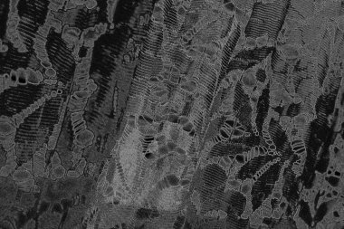 Çizik ve çatlaklarla dolu pis bir doku.