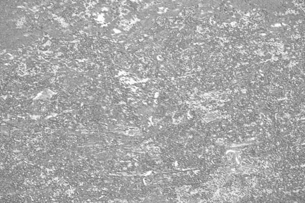 Monochromní Textura Obrázek Včetně Efektu Černobílých Tónů Abstraktní Pozadí — Stock fotografie