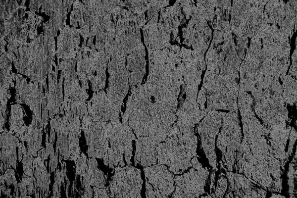 Grungy Texture Scratches Cracks — Stock Photo, Image