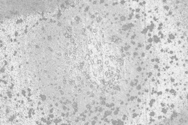 soyut grunge gri arkaplan