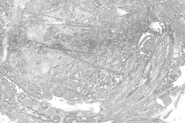 Kopyalama alanı için kirli beton doku arkaplanı 