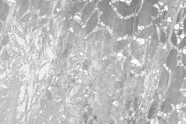  gri beton döşeme arka plan duvarı, tam çerçeve