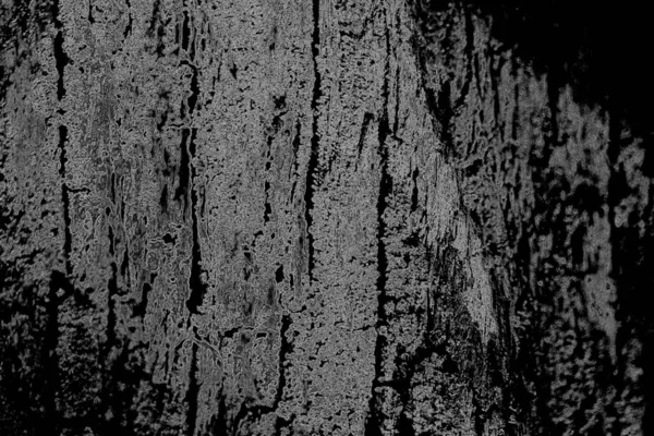 Textura Monocromática Imagem Incluindo Efeito Tons Preto Branco Contexto Abstrato — Fotografia de Stock