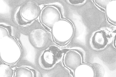 Soyut gri arkaplan tam çerçeve duvarı