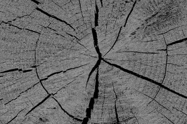 Çizik ve çatlaklarla dolu pis bir doku.