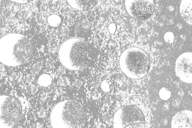 Çizik ve çatlaklarla dolu pis bir doku.