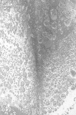 Çizik ve çatlaklarla bembeyaz bir doku.