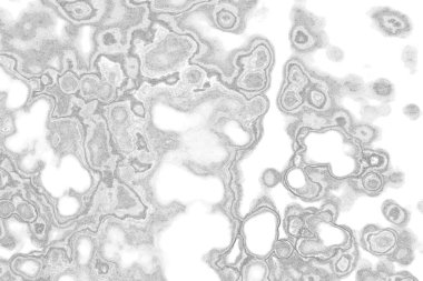 Kopyalama alanı için kirli beton doku arkaplanı 