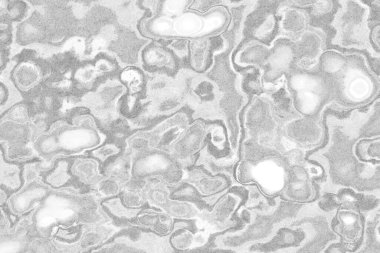 Kopyalama alanı için kirli beton doku arkaplanı 