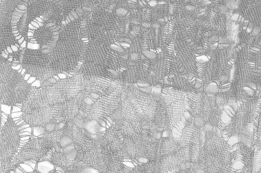  gri beton döşeme arka plan duvarı, tam çerçeve