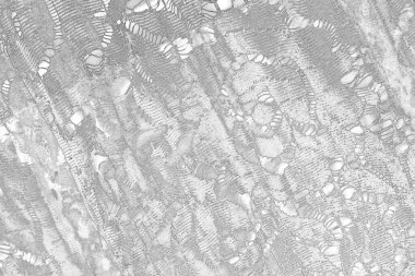  gri beton döşeme arka plan duvarı, tam çerçeve