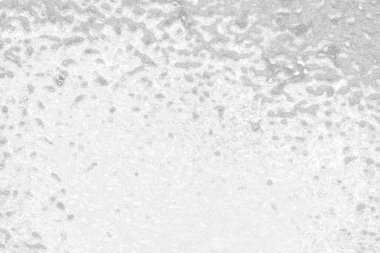 gri beton döşeme arka plan duvarı, tam çerçeve