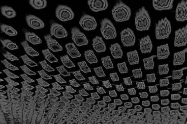 Çizik ve çatlaklarla dolu pis bir doku.