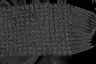 Çizik ve çatlaklarla dolu pis bir doku.