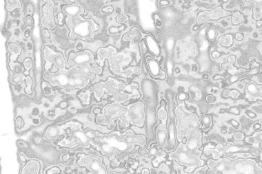 Kopyalama alanı için kirli beton doku arkaplanı 