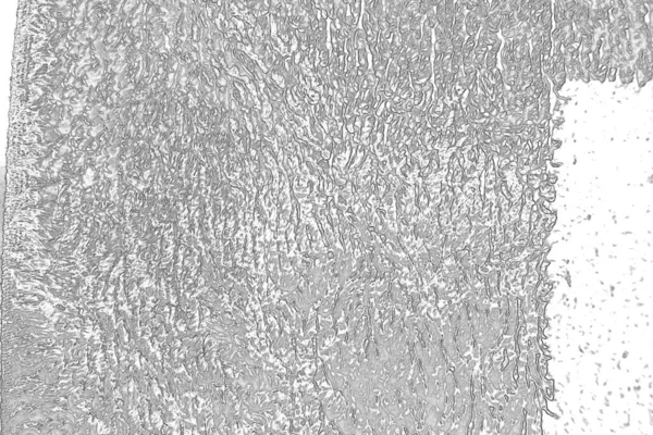 Grijze Krassen Textuur Achtergrond Muur Volledig Frame — Stockfoto