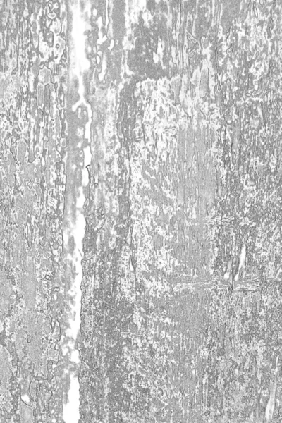 Abstract Grey Background Full Frame Wall — Stock Photo, Image