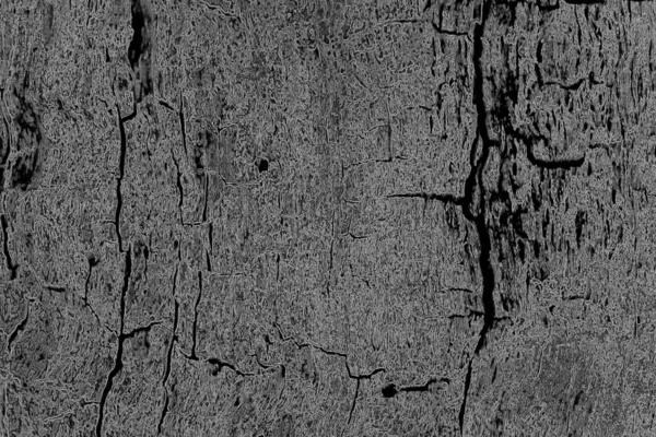 Textura Monocromática Imagen Incluyendo Efecto Tonos Blanco Negro Fondo Abstracto — Foto de Stock