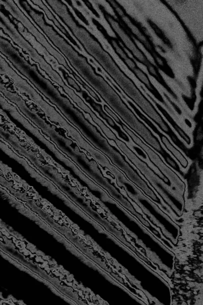 抽象的なグレーの背景フルフレームの壁 — ストック写真