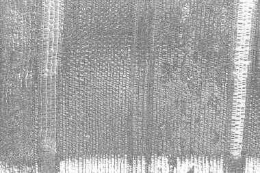 Çizik ve çatlaklarla dolu pis bir doku.