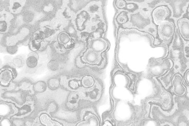 Kopyalama alanı için kirli beton doku arkaplanı 