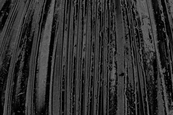 Сіра Шорстка Текстура Подряпинами Тріщинами — стокове фото