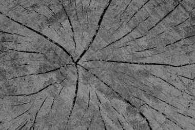 Çizik ve çatlaklarla dolu pis bir doku.